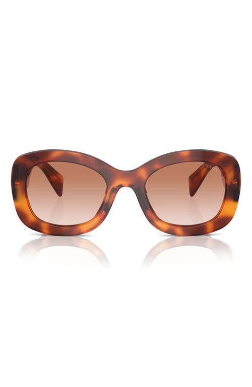 Prada 55mm Gradient Oval Sunglasses in Brown Grad at Nordstrom