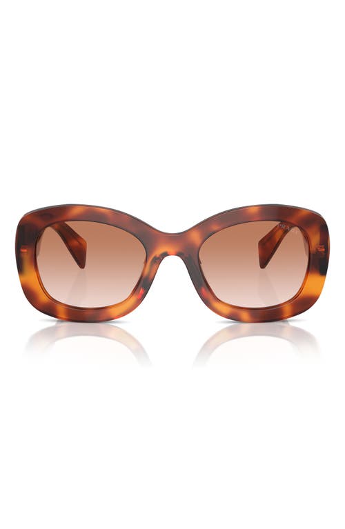 Prada 55mm Gradient Oval Sunglasses In Brown Grad