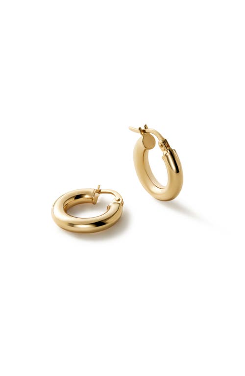 Shop Ana Luisa Classic Hoop Earrings In Gold