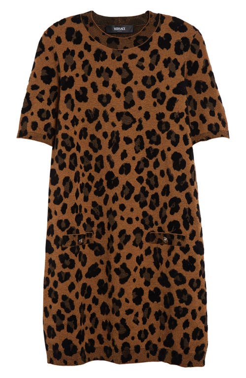 Shop Versace Leopard Jacquard Sweater Dress In Chestnut