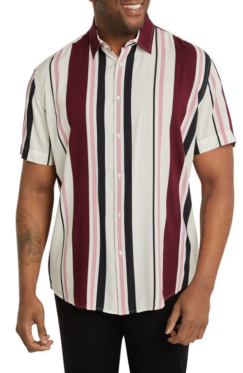Paloma Stripe Short Sleeve Button-Up Shirt in Pink