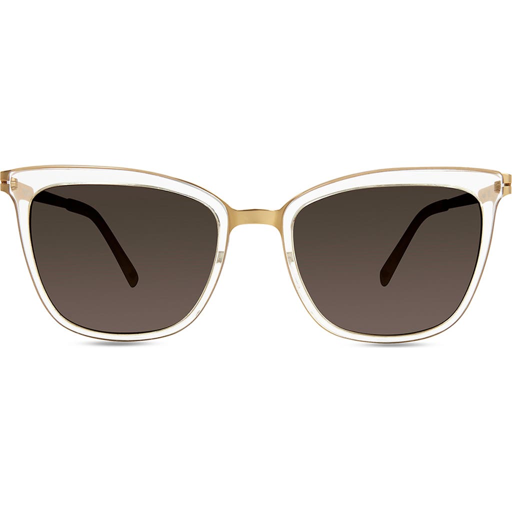 Modo 450 Sunglasses In Crystal Gold
