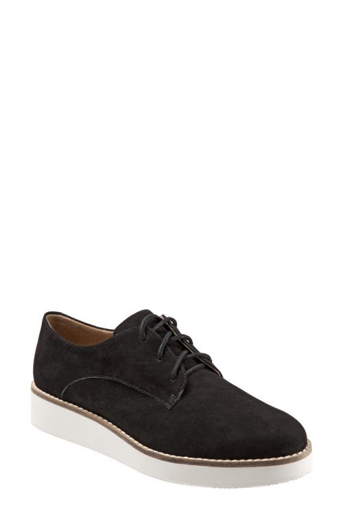 SoftWalk Willis Derby Black Leather at Nordstrom