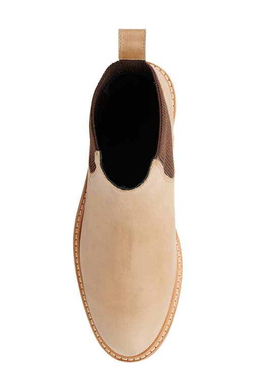 Shop Nisolo Carmen 2.0 Chelsea Boot In Almond