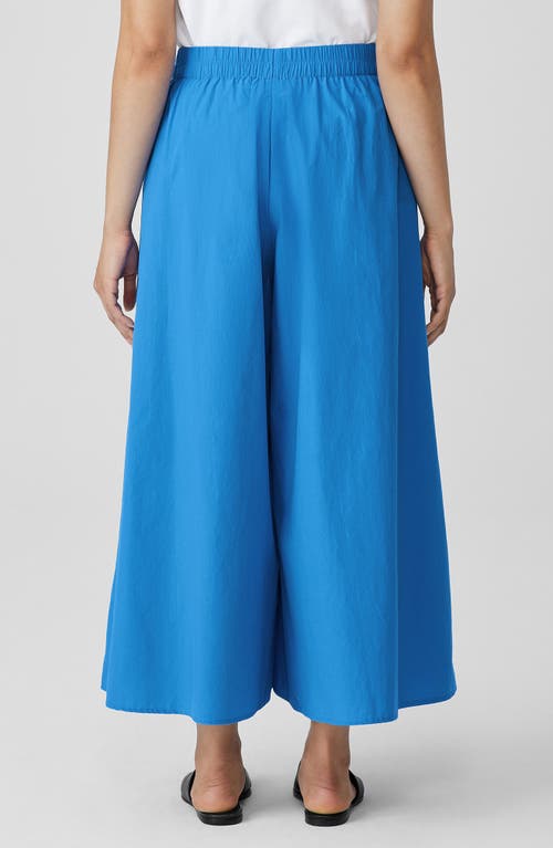 Shop Eileen Fisher Organic Cotton Poplin Ankle Extra Wide Leg Pants In Calypso