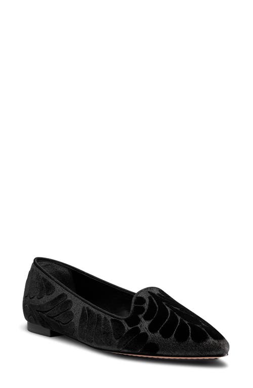 Birdies Sparrow Embroidered Pointed Toe Flat in Black Velvet 