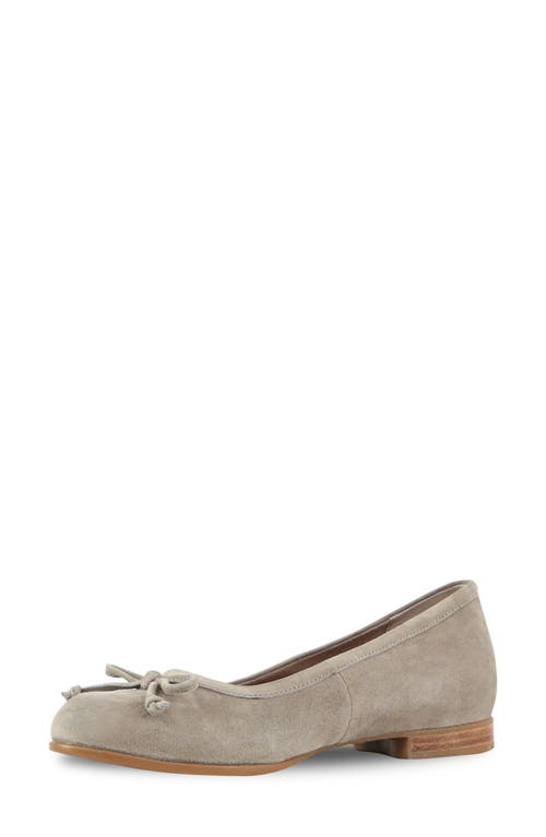 Munro Joslynn Ballet Flat In Deep Taupe Suede
