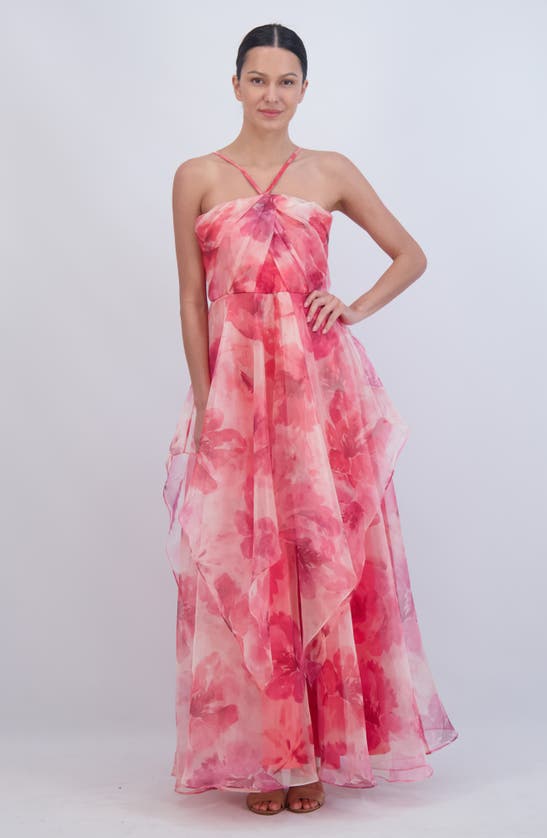 Shop Eliza J Floral A-line Chiffon Gown In Poppy