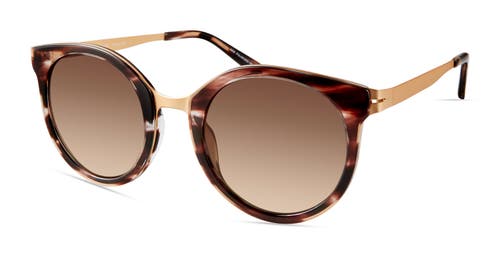 Modo 456 Sunglasses In Shadow Tortoise