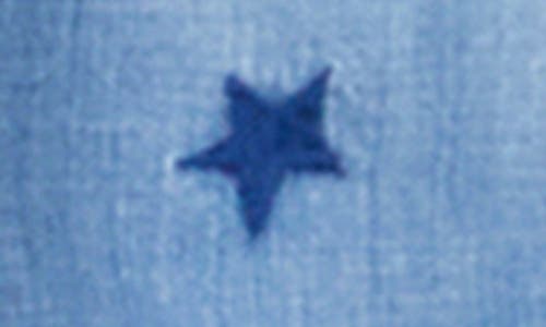 Billy T Embroidered Star Denim Button-up Shirt In Denim