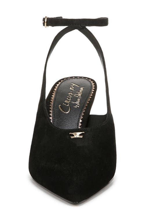 Circus Ny By Sam Edelman Tara Slingback Pump In Black Suede