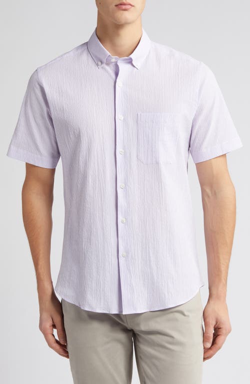 Scott Barber Stripe Short Sleeve Cotton Seersucker Button-Down Shirt Grapeade at Nordstrom,