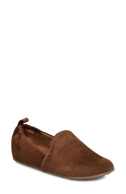 Margarite Loafer in Brown Suede