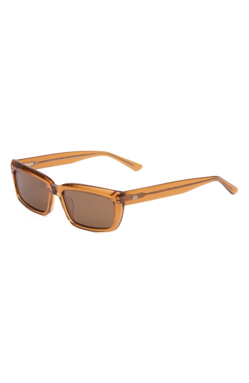 Shop Sito Shades Night In Tobacco/brown Polar