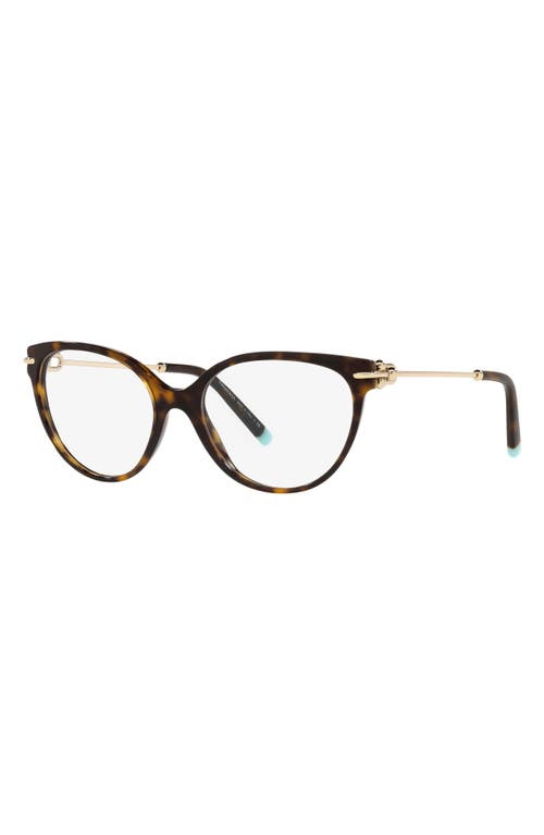 Tiffany & Co . 53mm Cat Eye Optical Glasses In Havana/demo Lens