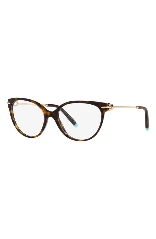 Shop Tiffany & Co . 53mm Cat Eye Optical Glasses In Havana/demo Lens