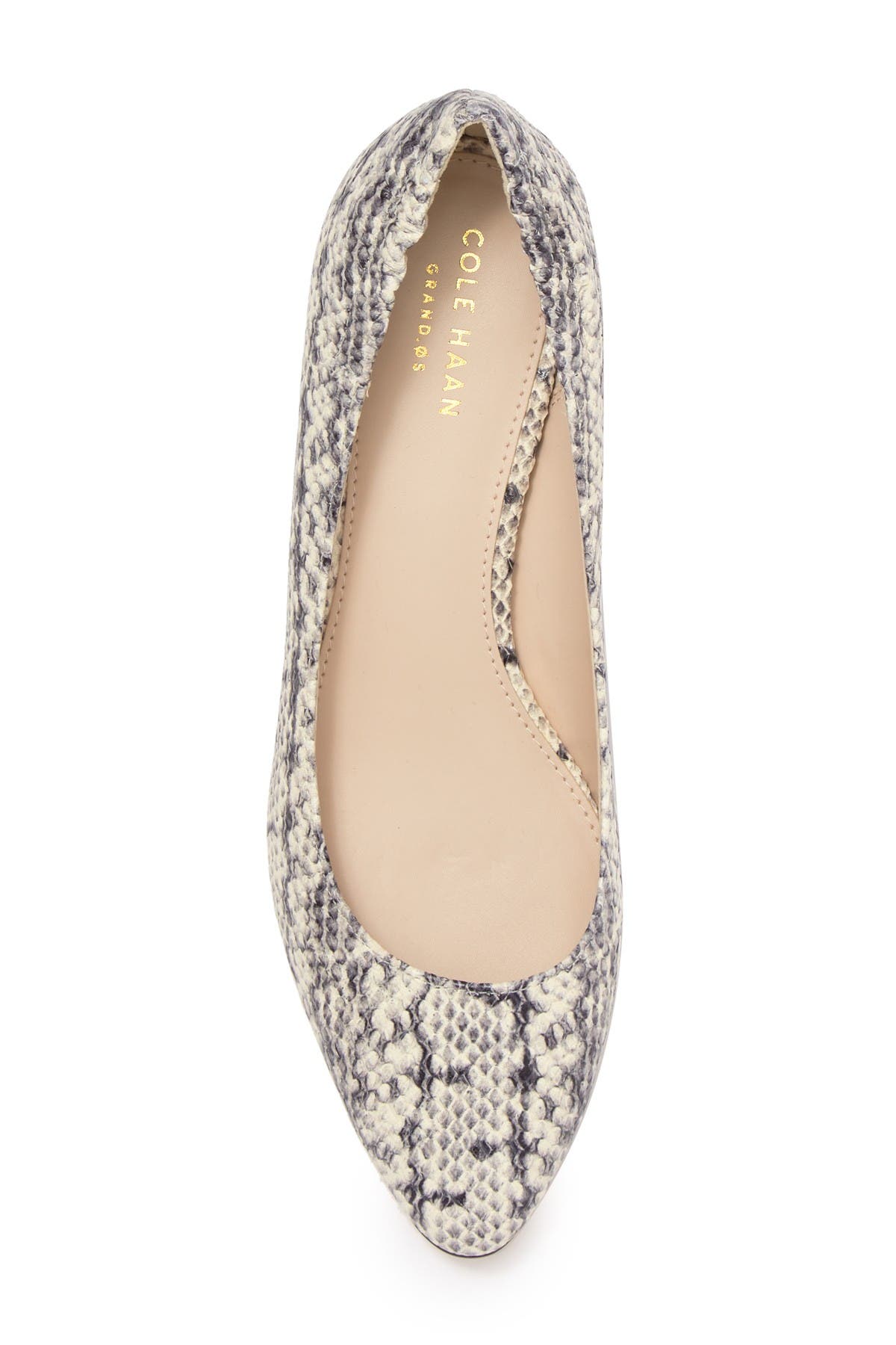 cole haan snakeskin heels