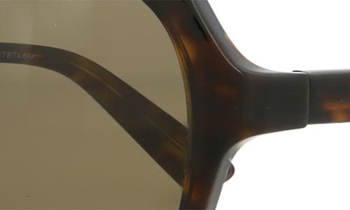 Gucci 58mm Core Oversized Sunglasses In Havana Havana Brown