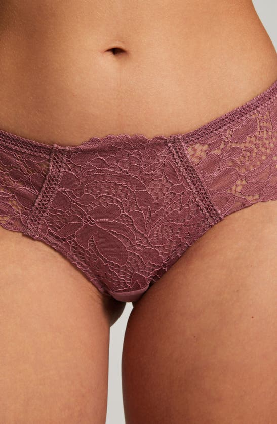 Shop Hunkemoller Hunkemöller Shiloh Lace Brazilian Briefs In Wistful Mauve