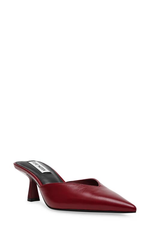 Shop Steve Madden Mod Pointed Toe Mule Pump In Dark Red