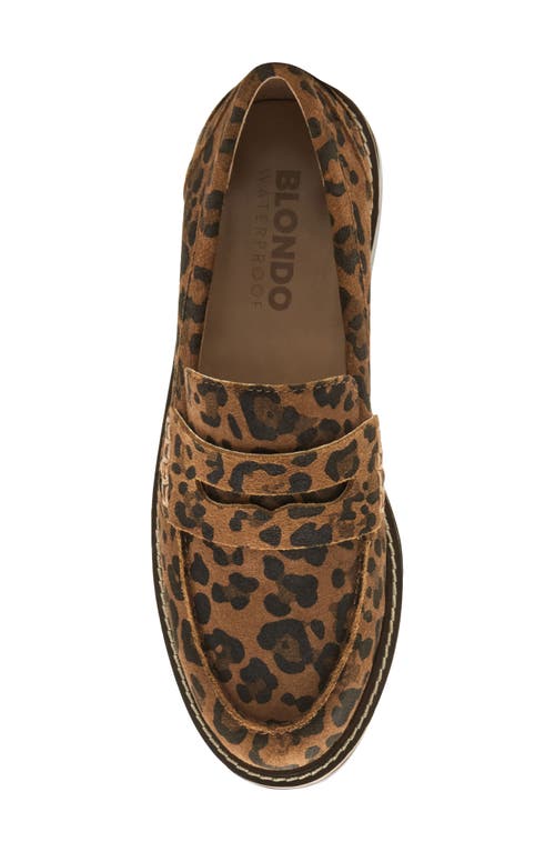 Blondo Waterproof Penny Loafer In Leopard Suede