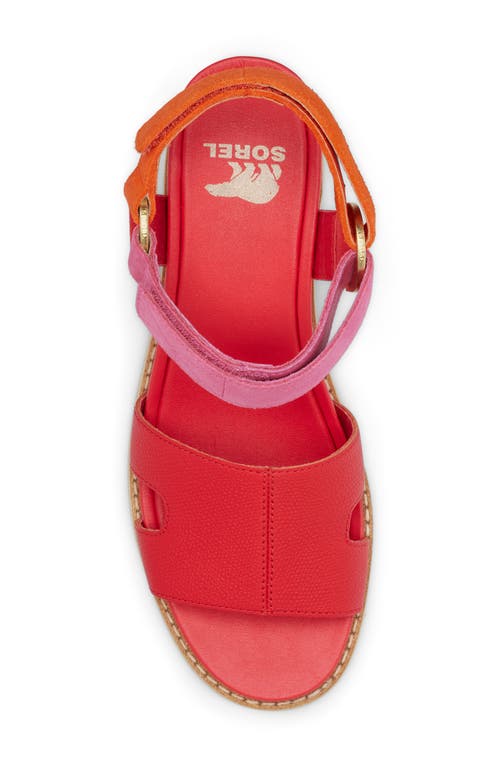 Shop Sorel Joanie Iv Ankle Strap Platform Wedge Sandal In Red Glo/honey White