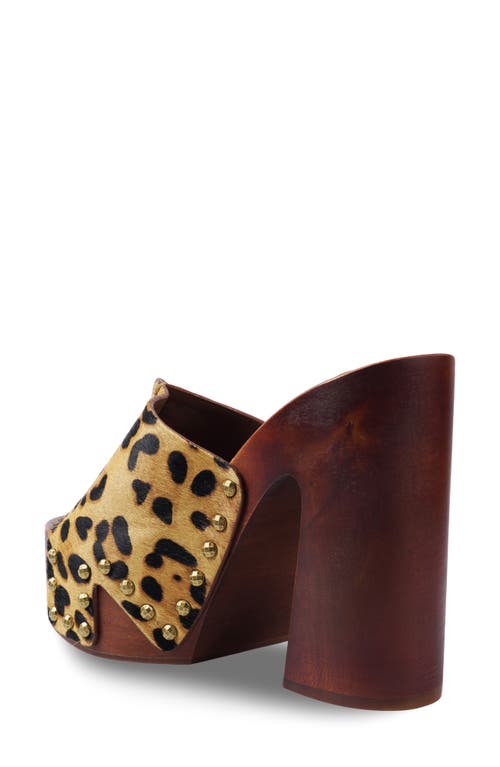Zigi Yama Platform Slide Sandal In Leopard Calf Hair
