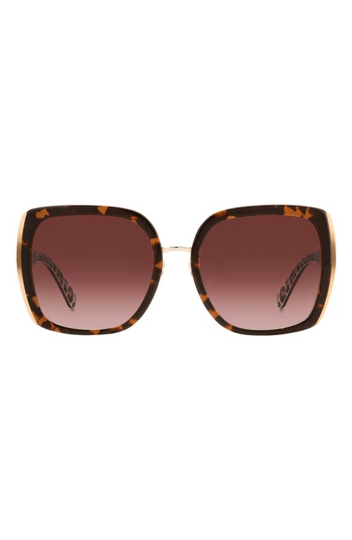 Kate Spade New York kimber 56mm gradient square sunglasses in Havana /Brown Gradient at Nordstrom