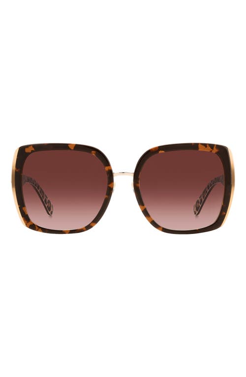 Shop Kate Spade New York Kimber 56mm Gradient Square Sunglasses In Havana/brown Gradient