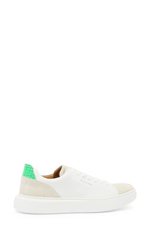 Shop Buscemi Uno Croc Embossed Sneaker In White/green