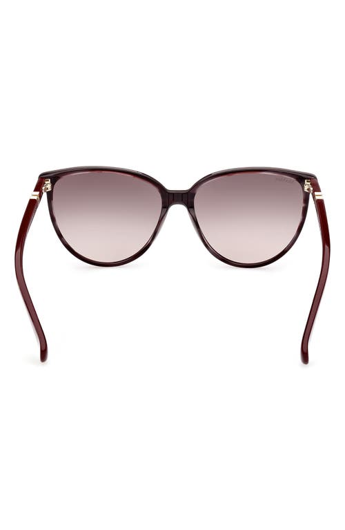 Shop Max Mara 58mm Gradient Butterfly Sunglasses In Shiny Bordeaux/grad Bordeaux