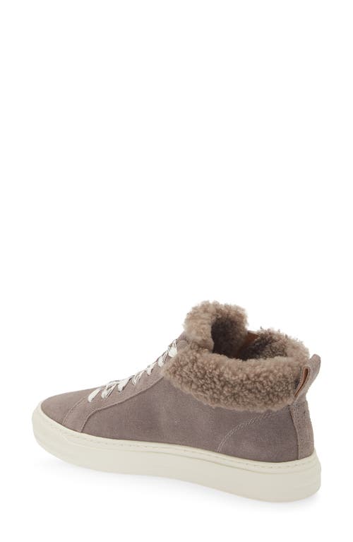 Frankie4 Miles Genuine Shearling Lined Sneaker In Dark Taupe
