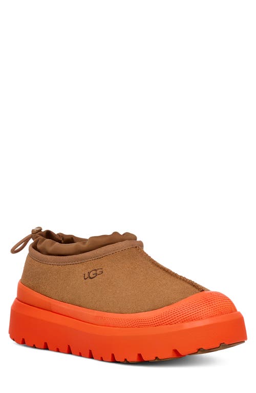 UGG(r) Tasman Waterproof Slip-On Shoe in Chestnut /Orange