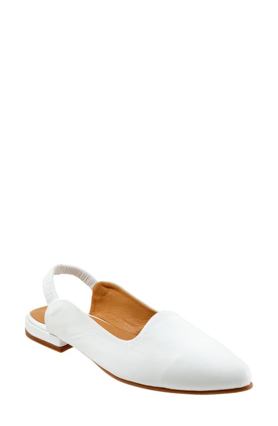 Bueno Indie Slingback Pointed Toe Flat In White