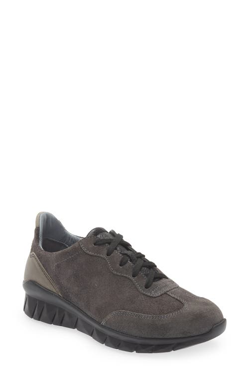 Naot Infinity Colorblock Sneaker In Oily Midnight Suede Gray Combo