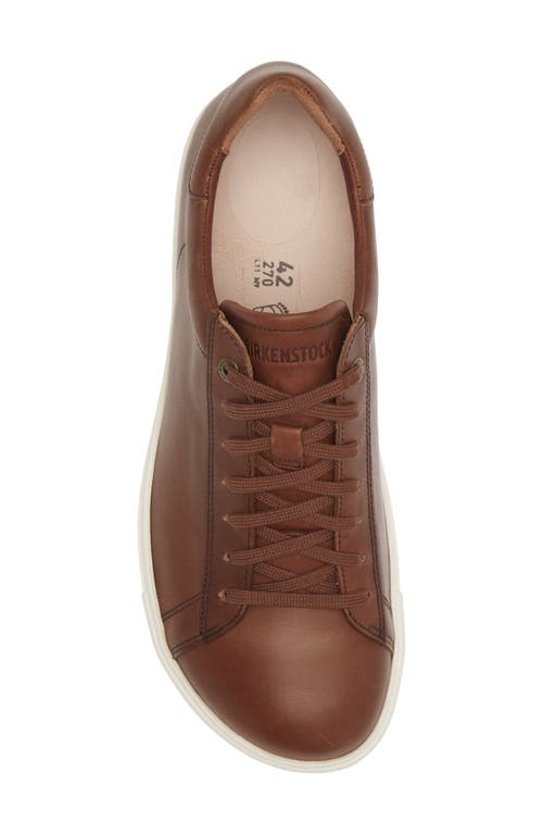 BIRKENSTOCK BIRKENSTOCK BEND LOW TOP SNEAKER