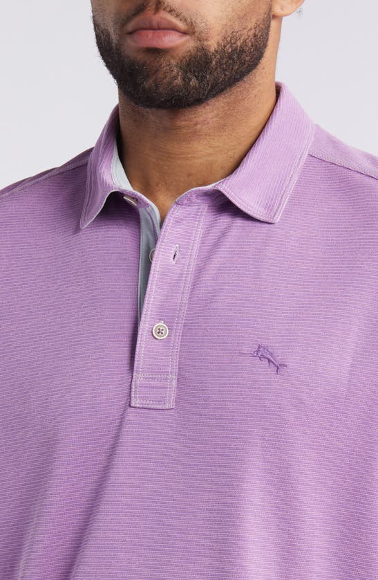 Shop Tommy Bahama Paradiso Cove Stripe Polo In Summer Plum