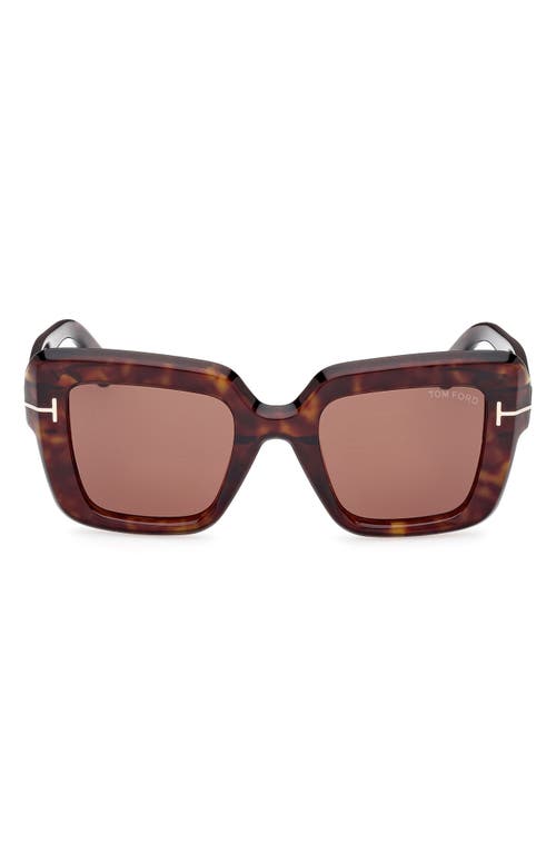 TOM FORD Esme 50mm Square Sunglasses in Shiny Classic Havana /Brown at Nordstrom