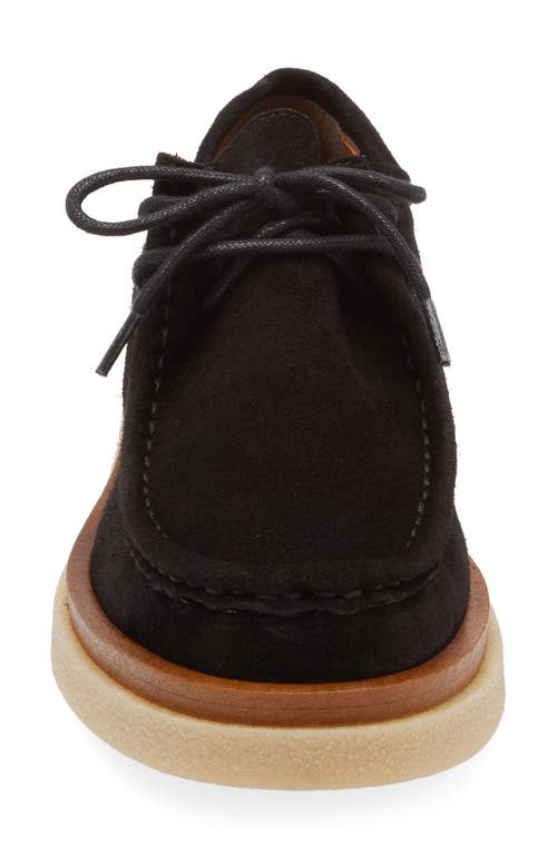 Cordani Maya Chukka Derby In Camoscio Nero