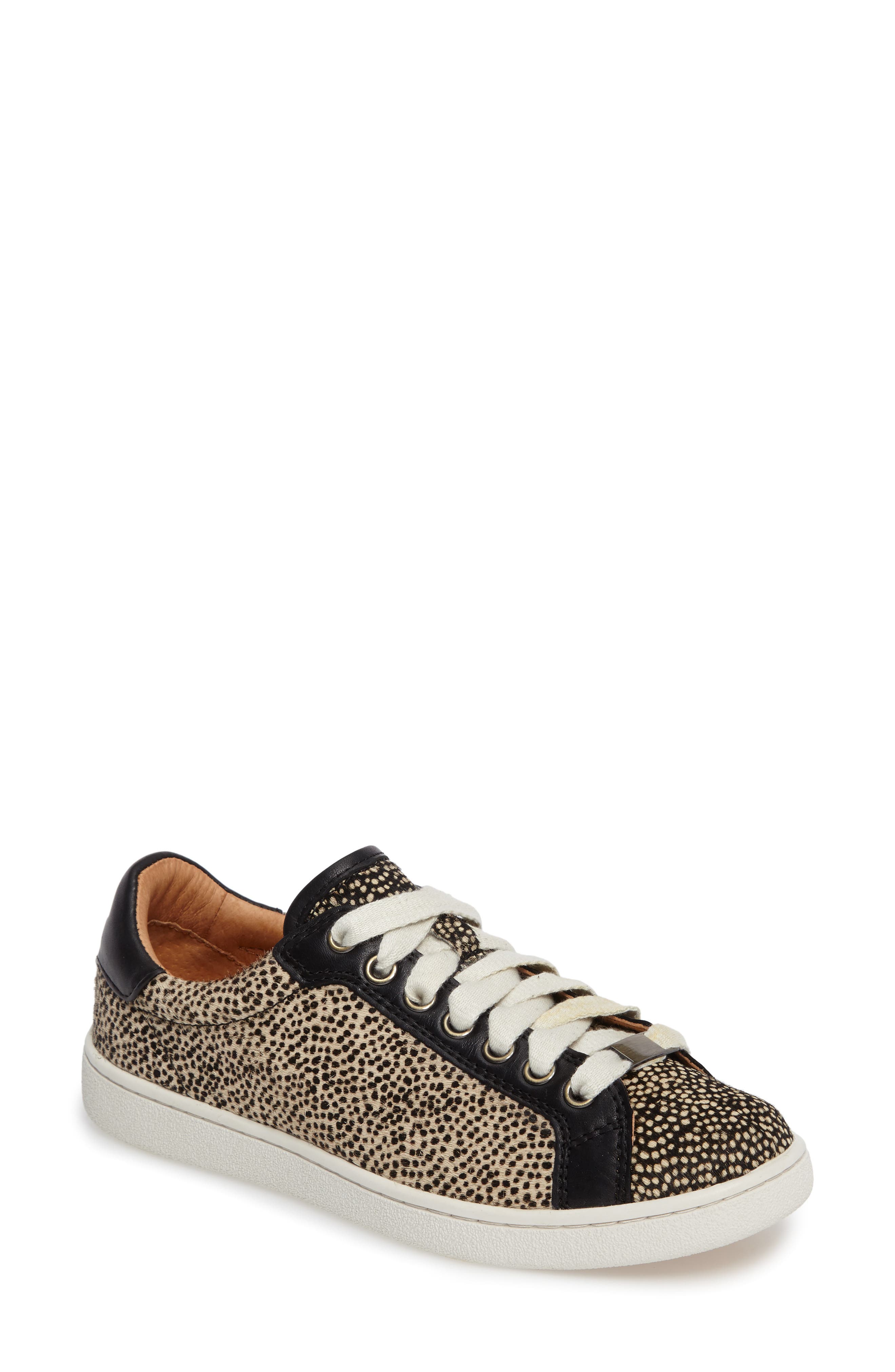 ugg milo lace up sneakers