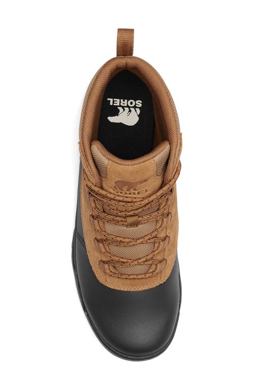 Sorel Buxton Lite Lace In Elk/black