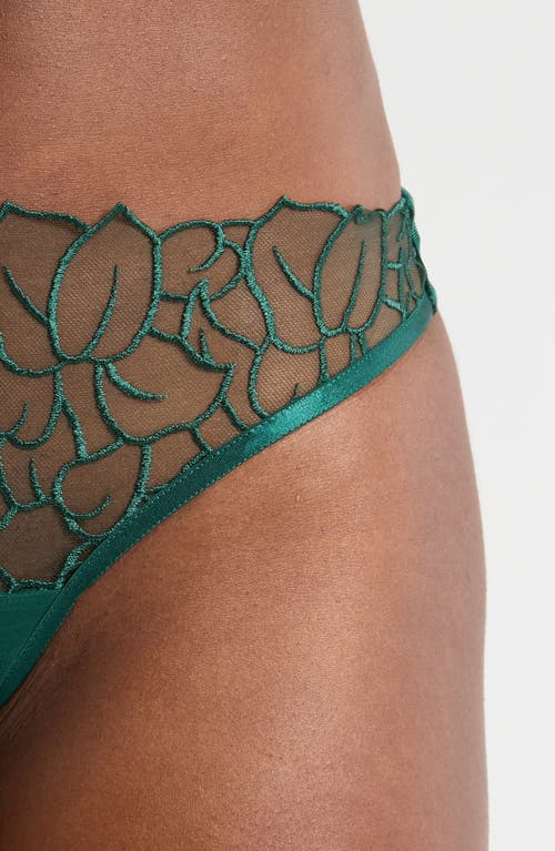 Shop Bluebella Laurel Embroidered Mesh Briefs In Botanical Garden Green