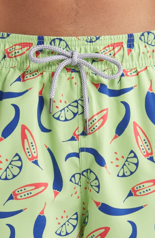 Shop Tom & Teddy Chilli Print Performance Swim Trunks In Lime/blue