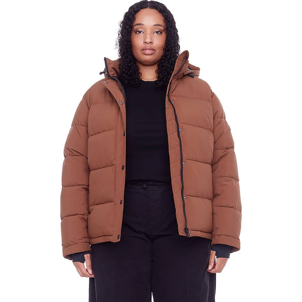 Alpine North Forillon Plus Women's Vegan Down (recycled) Short Quilted Puffer Jacket (plus Size) In Maple
