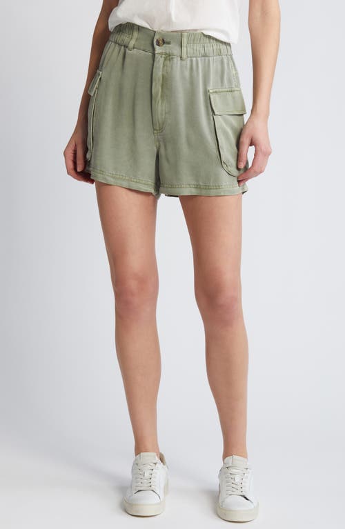 Cargo Shorts in Olive Acorn