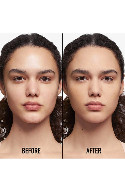 Dior Forever Skin Perfect Stick In 2.5n