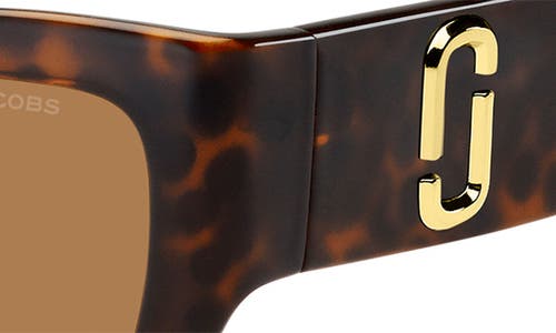 Shop Marc Jacobs 53mm Cat Eye Sunglasses In Havana/brown