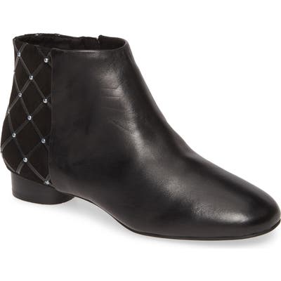 Karl Lagerfeld Paris Fauna Bootie- Black