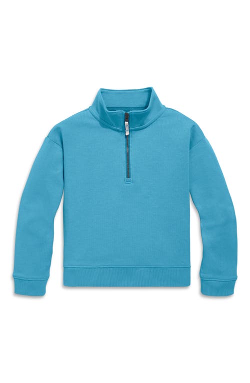 Shop Primary Quarter Zip Sweatshirt In Storm