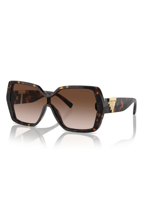 Tiffany & Co . 129mm Gradient Pillow Sunglasses In Havana